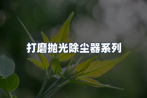 脉冲布袋除尘器
